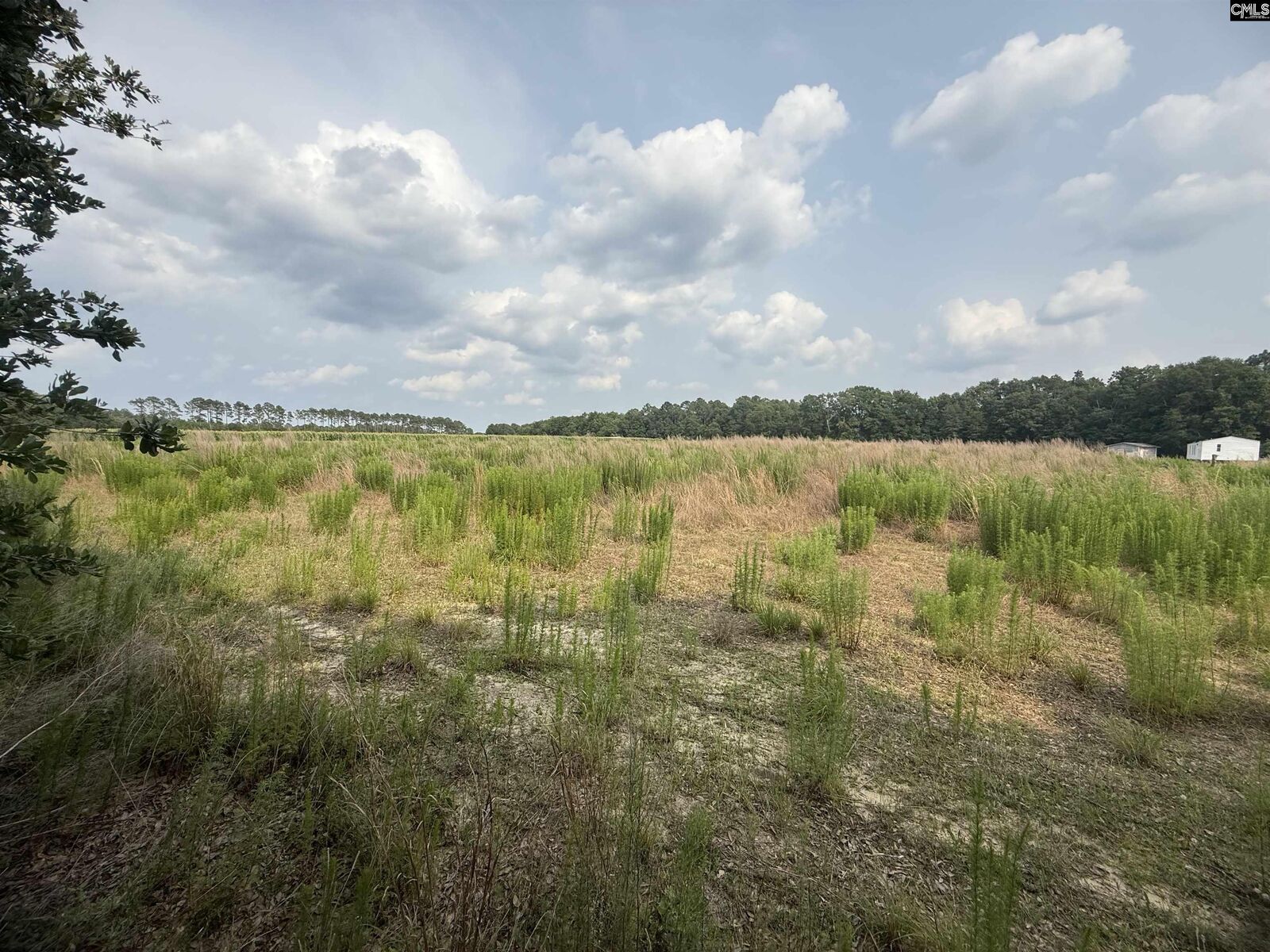 Property Photo:  Qaf C2 Rainbow Qaf C2  SC 29164 