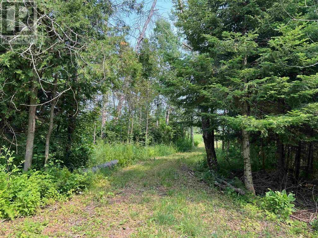 Photo de la propriété:  Lot 2 & 3 Con Nelson Dr  ON P0R 1G0 