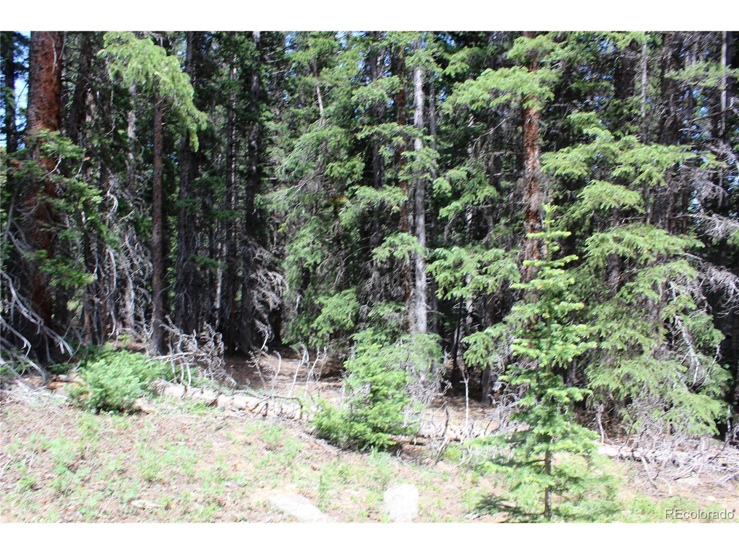 Property Photo: 13 Lamartine Rd CO 80452