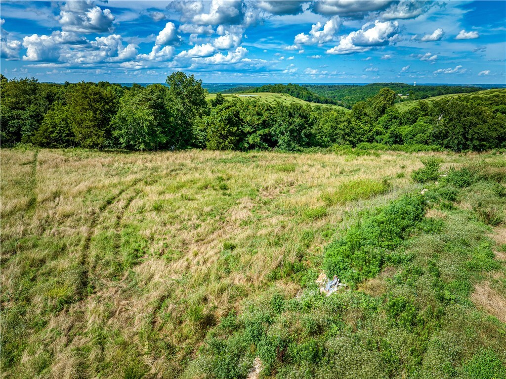Property Photo: 2786 Nc 3510 AR 72685