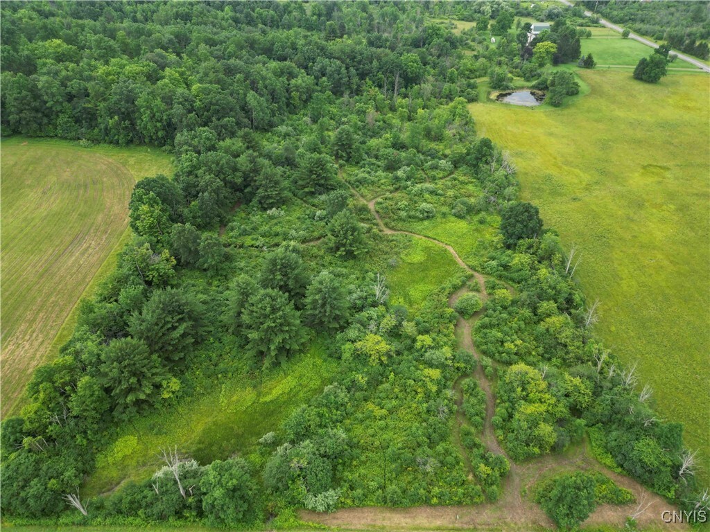 Property Photo: County Road 114 NY 14840