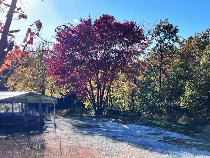 Property Photo: 21119 N Hwy 5 AR 72560