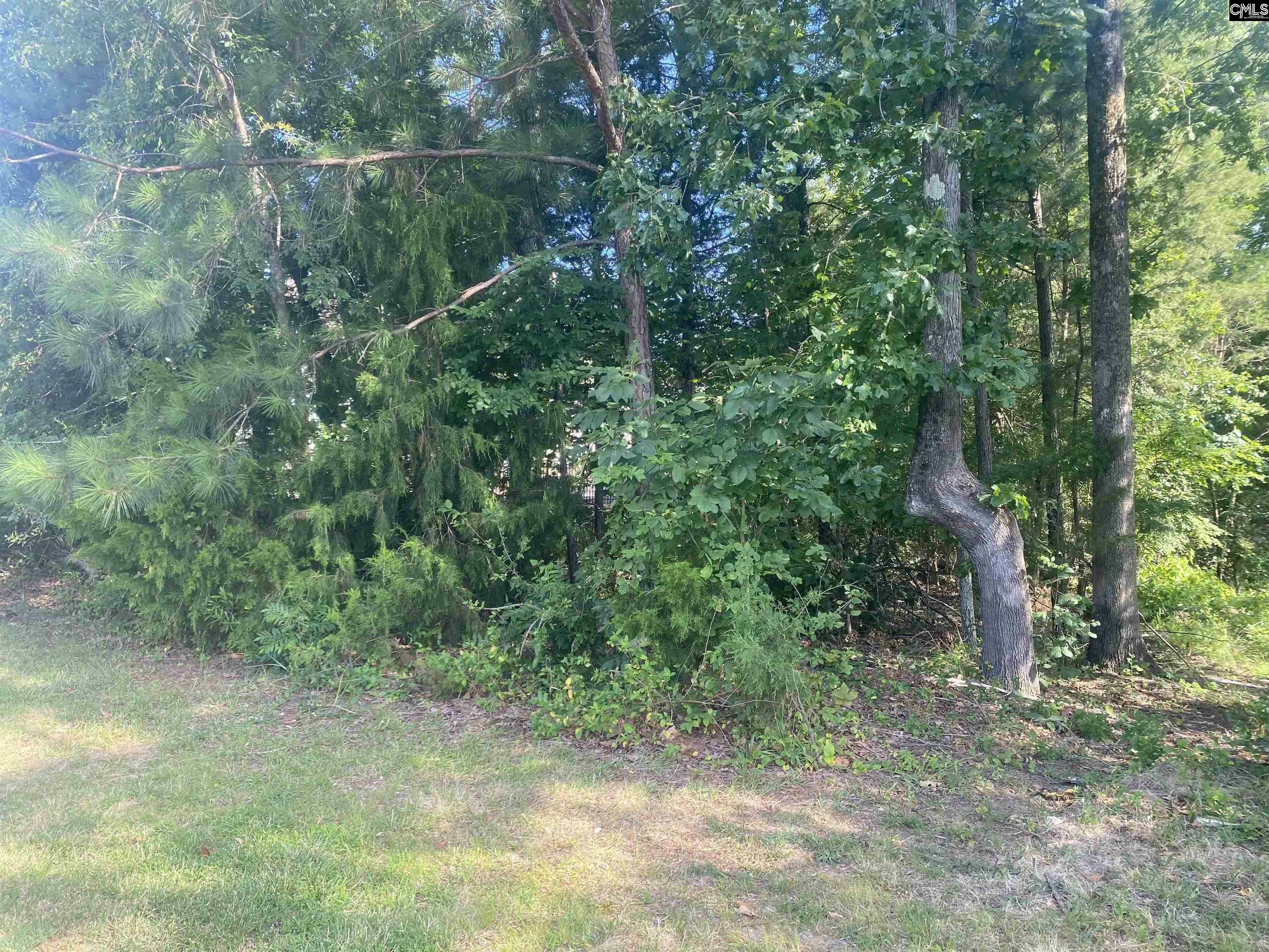 Property Photo: 115 Beacon Point SC 29063