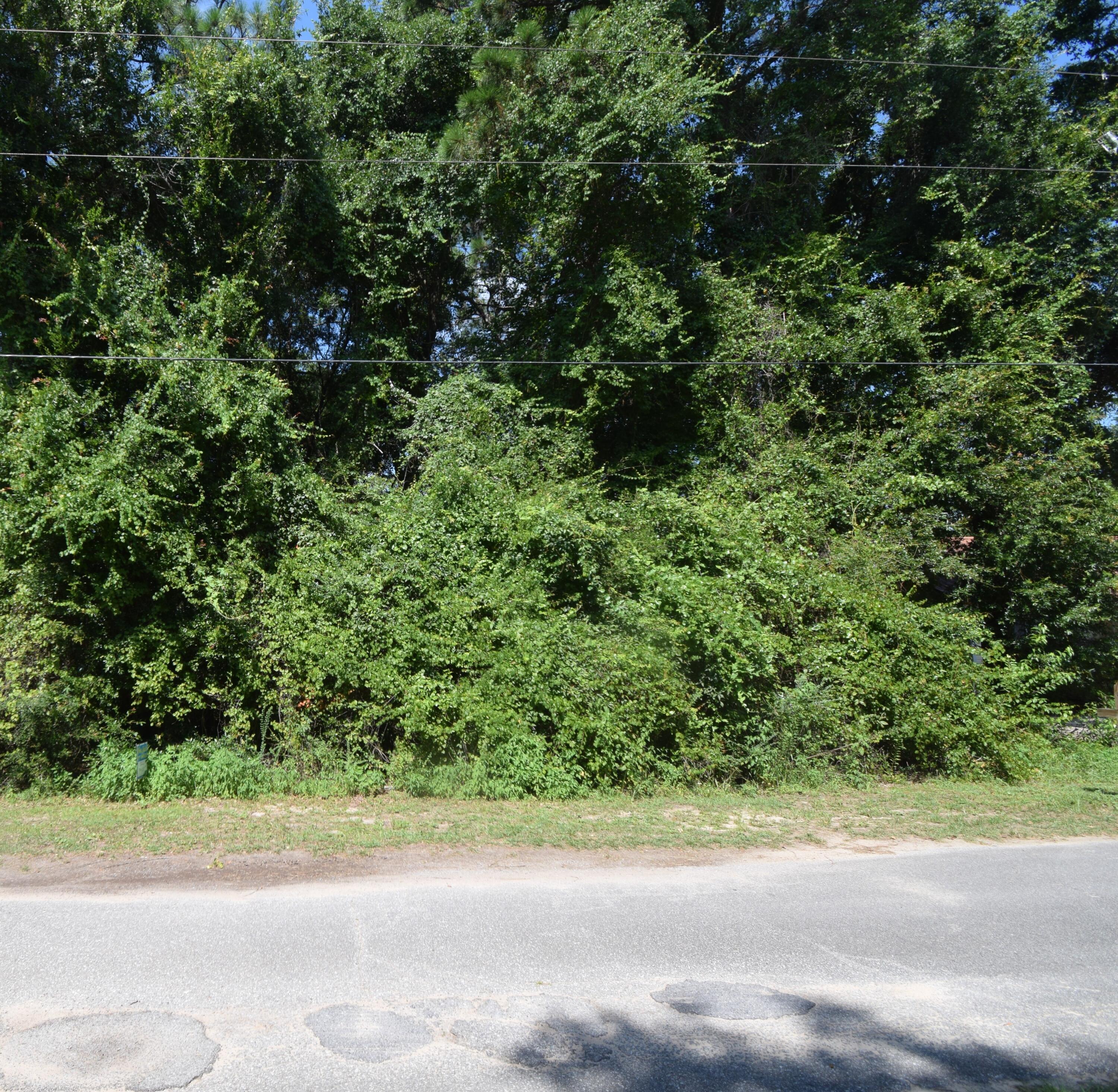Property Photo: Lot 20 Winchester Way FL 32539