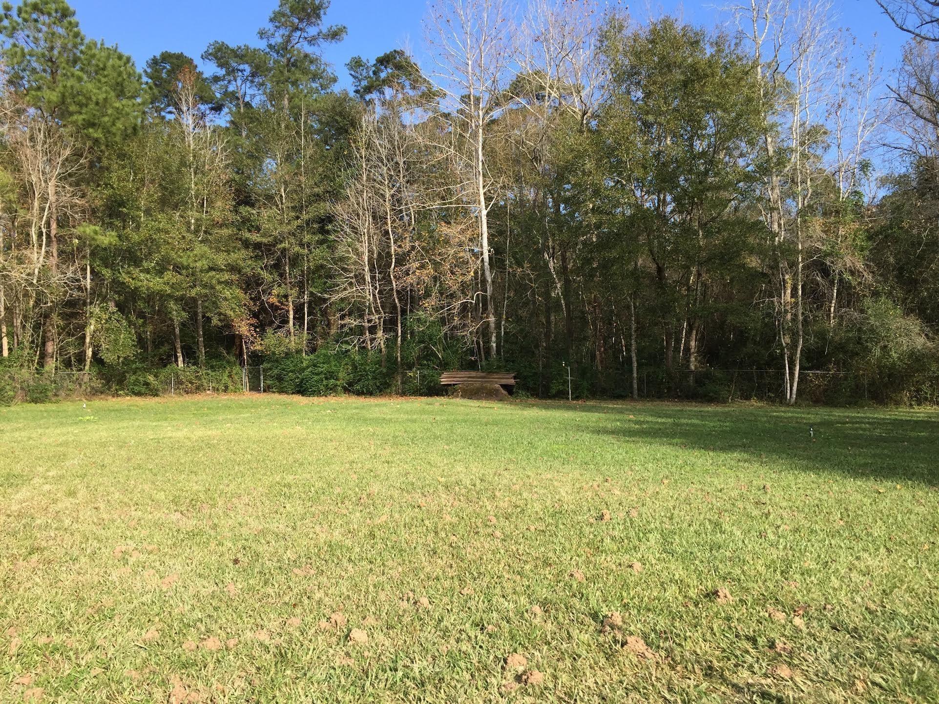 Property Photo: 6649 Second Street TX 77585
