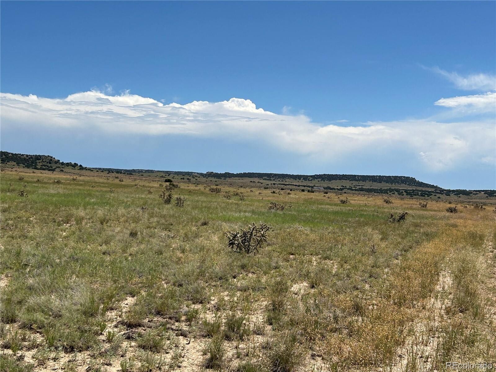 Property Photo:  4 Outback Ranch  CO 81059 