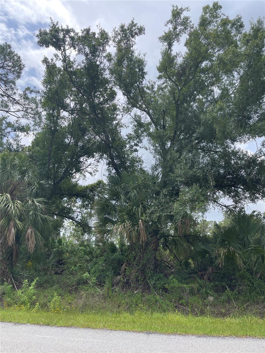 Property Photo:  Bellefonte  FL 34286 