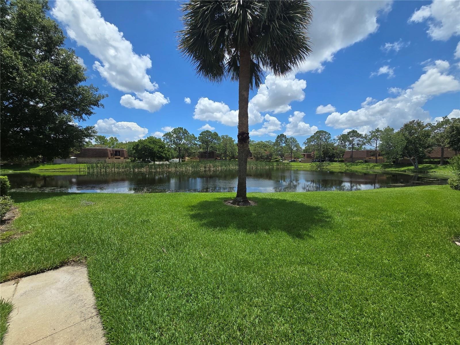 Property Photo: 5288 Cypress Court 439 FL 32811
