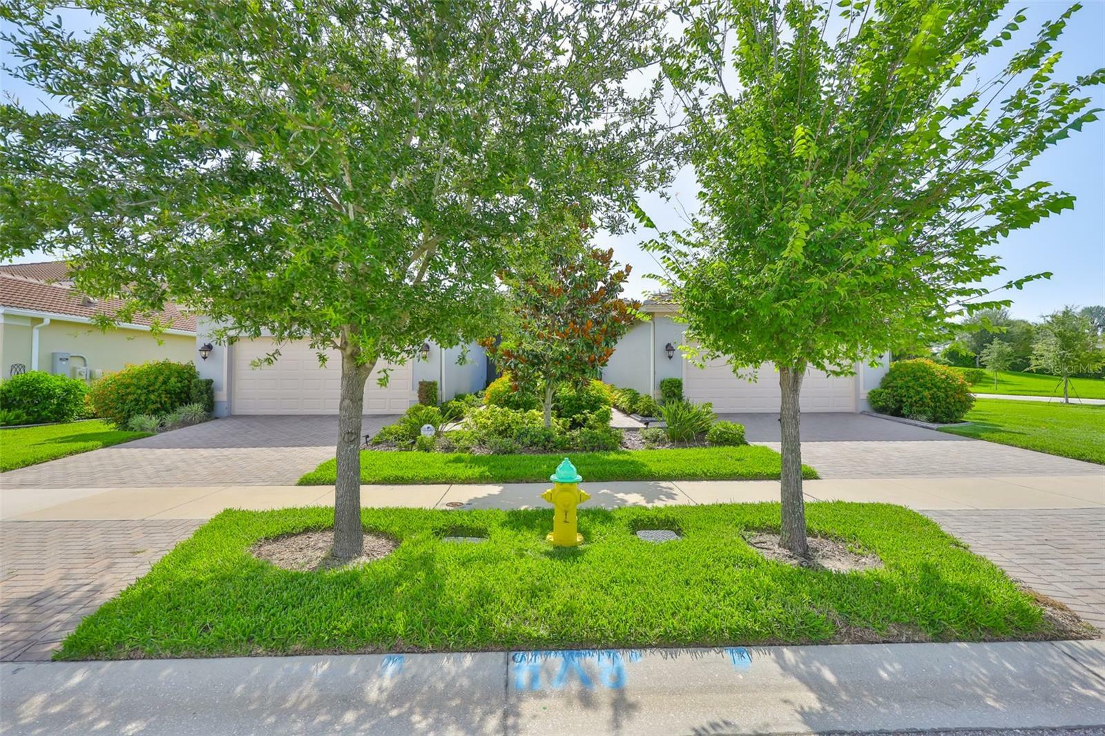 Property Photo: 4905 Avila Lakes Drive FL 33598