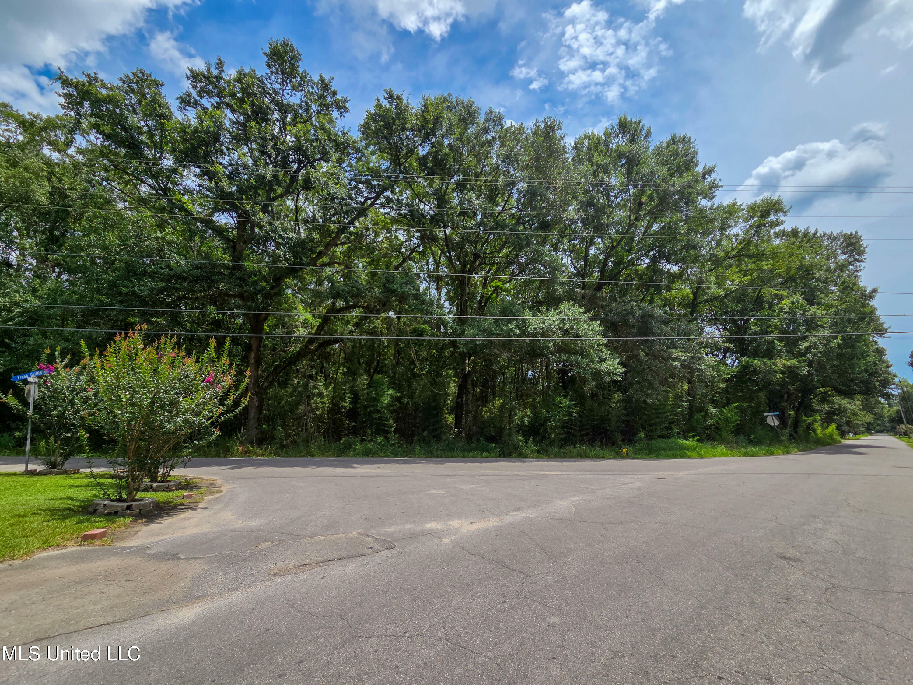 Property Photo: Frank Griffin Road MS 39563