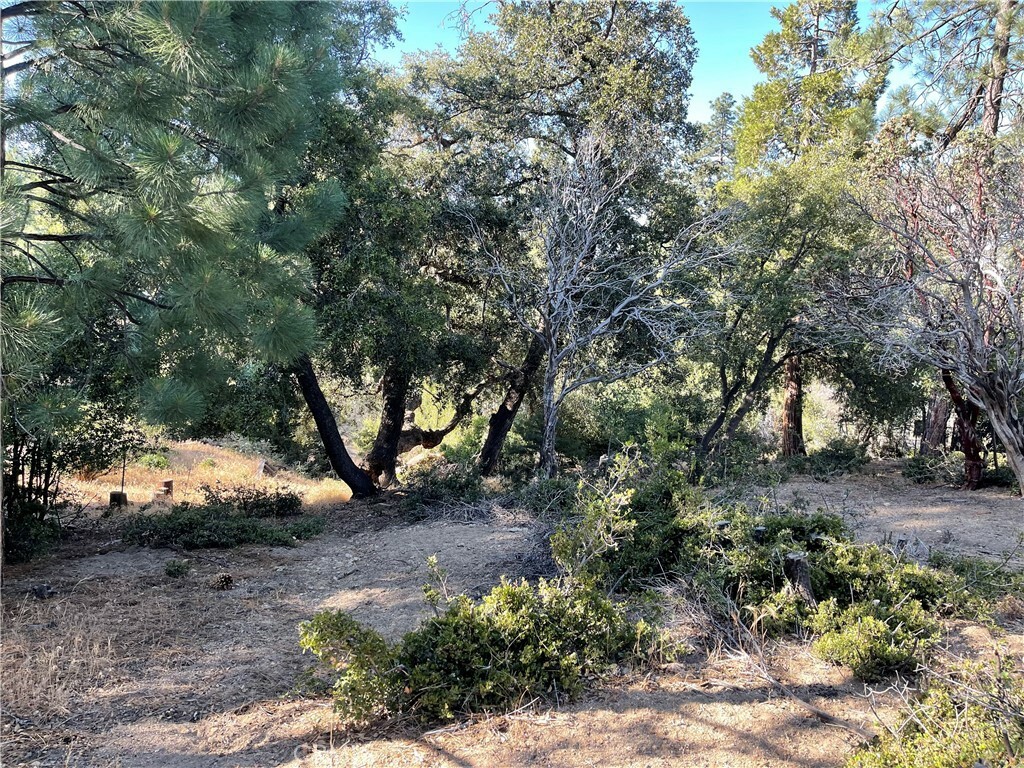 Property Photo: 0 Valley View Drive CA 92561