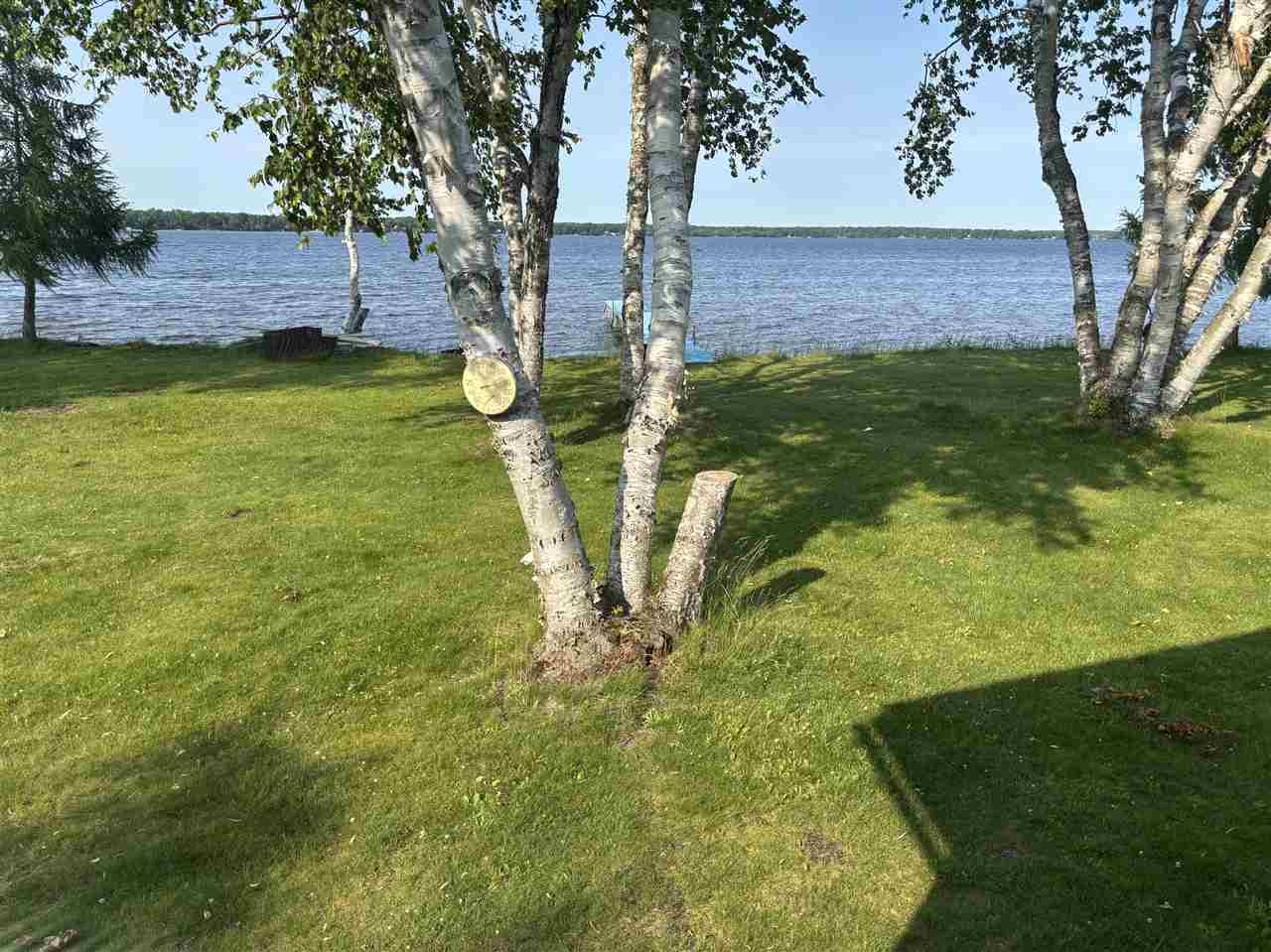Property Photo: 9218 Pachy Rd MI 49718