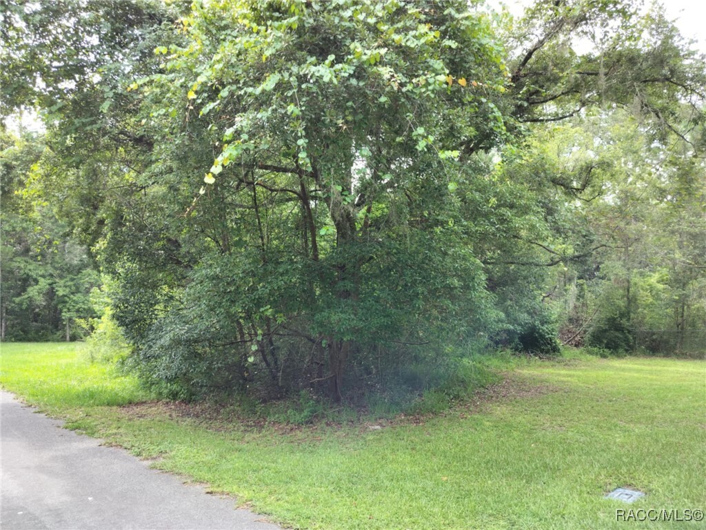 Property Photo: 19308 Wildwood Drive FL 34601