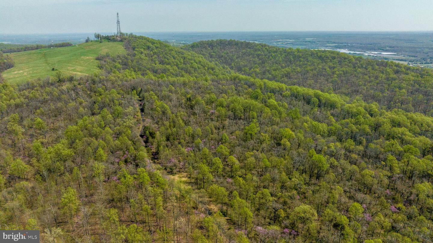 Property Photo: Lot 24 Hawthorne Drive VA 22733