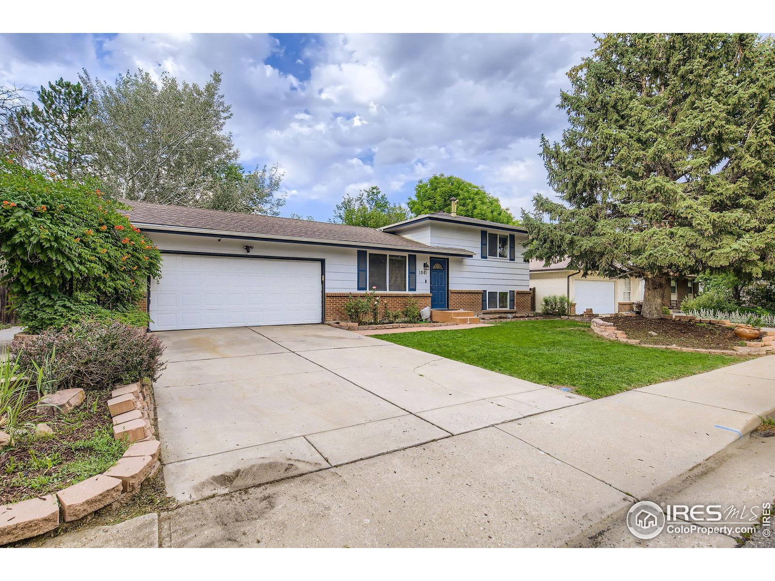 Property Photo:  1041 Banyan Ct  CO 80538 