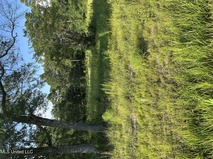 0 Woolmarket Road  Biloxi MS 39532 photo