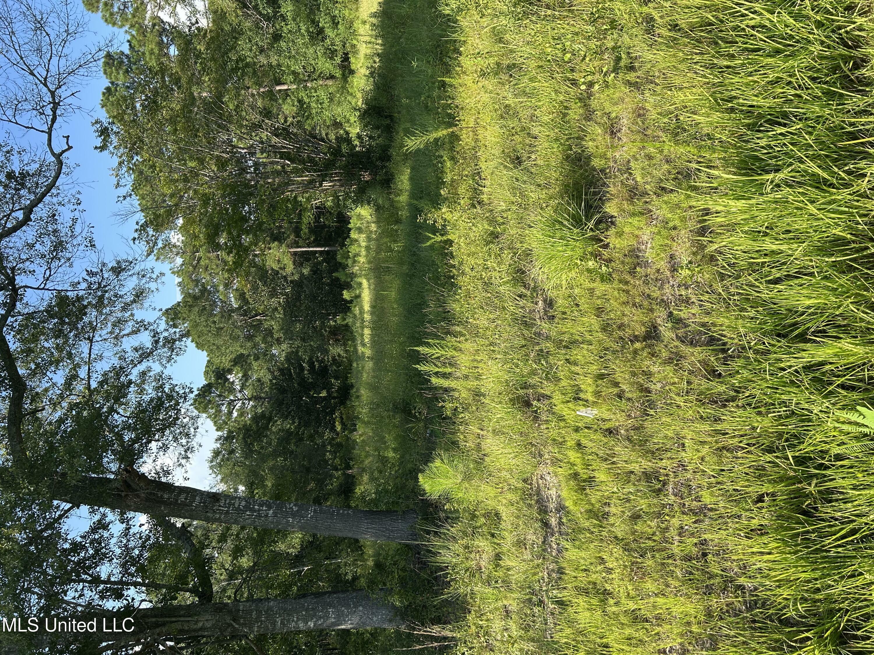 Property Photo: 0 Woolmarket Road MS 39532