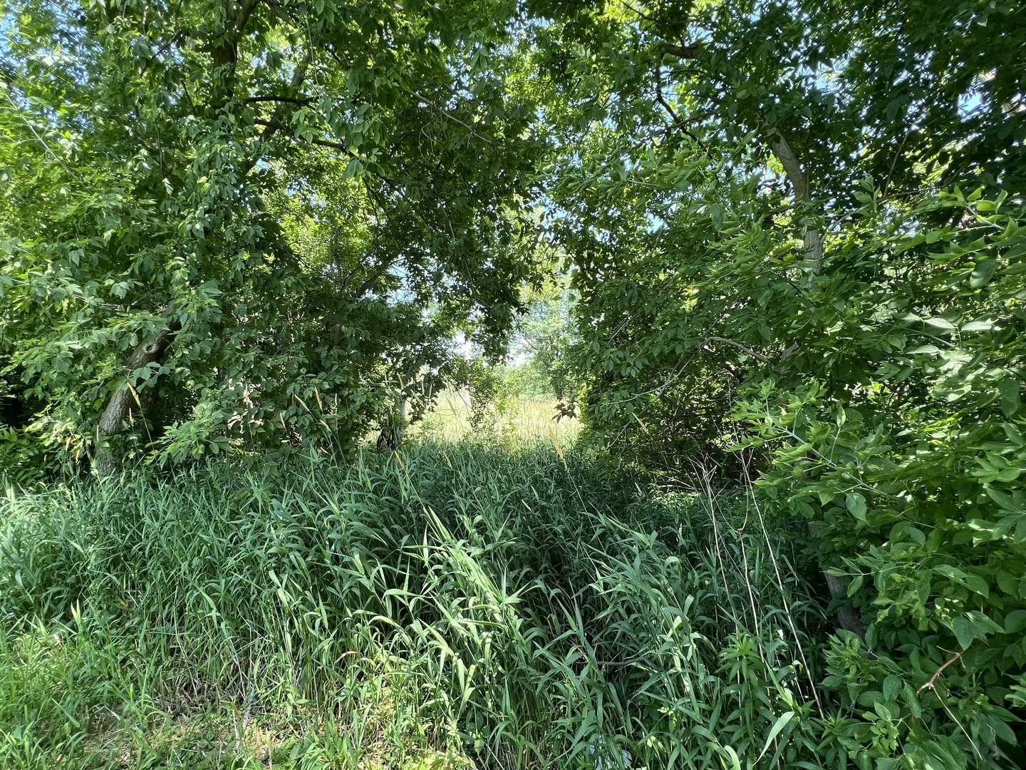 Property Photo: 35105 N Ingleside Drive IL 60041