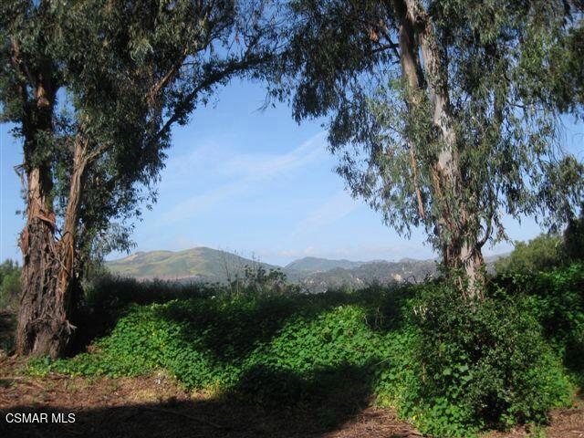 771 Seneca Street D60  Ventura CA 93001 photo
