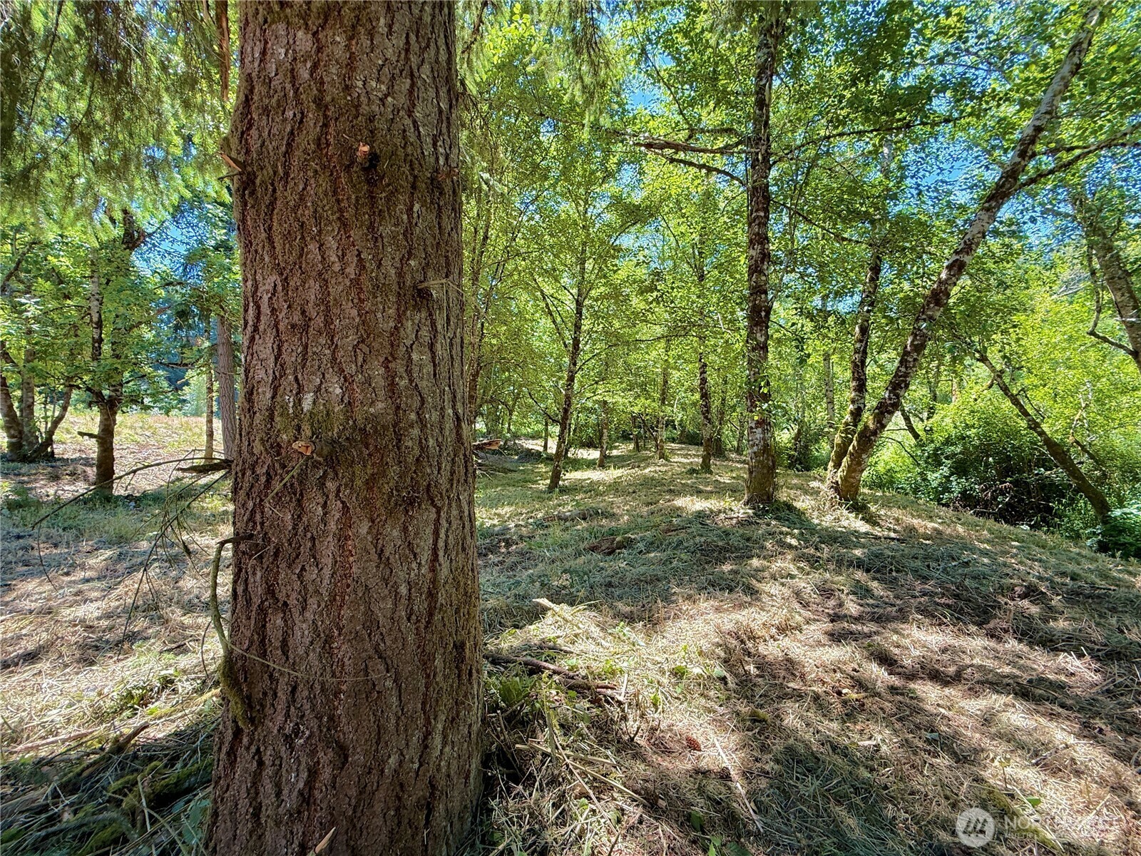 Property Photo: 127 Sawall G WA 98531