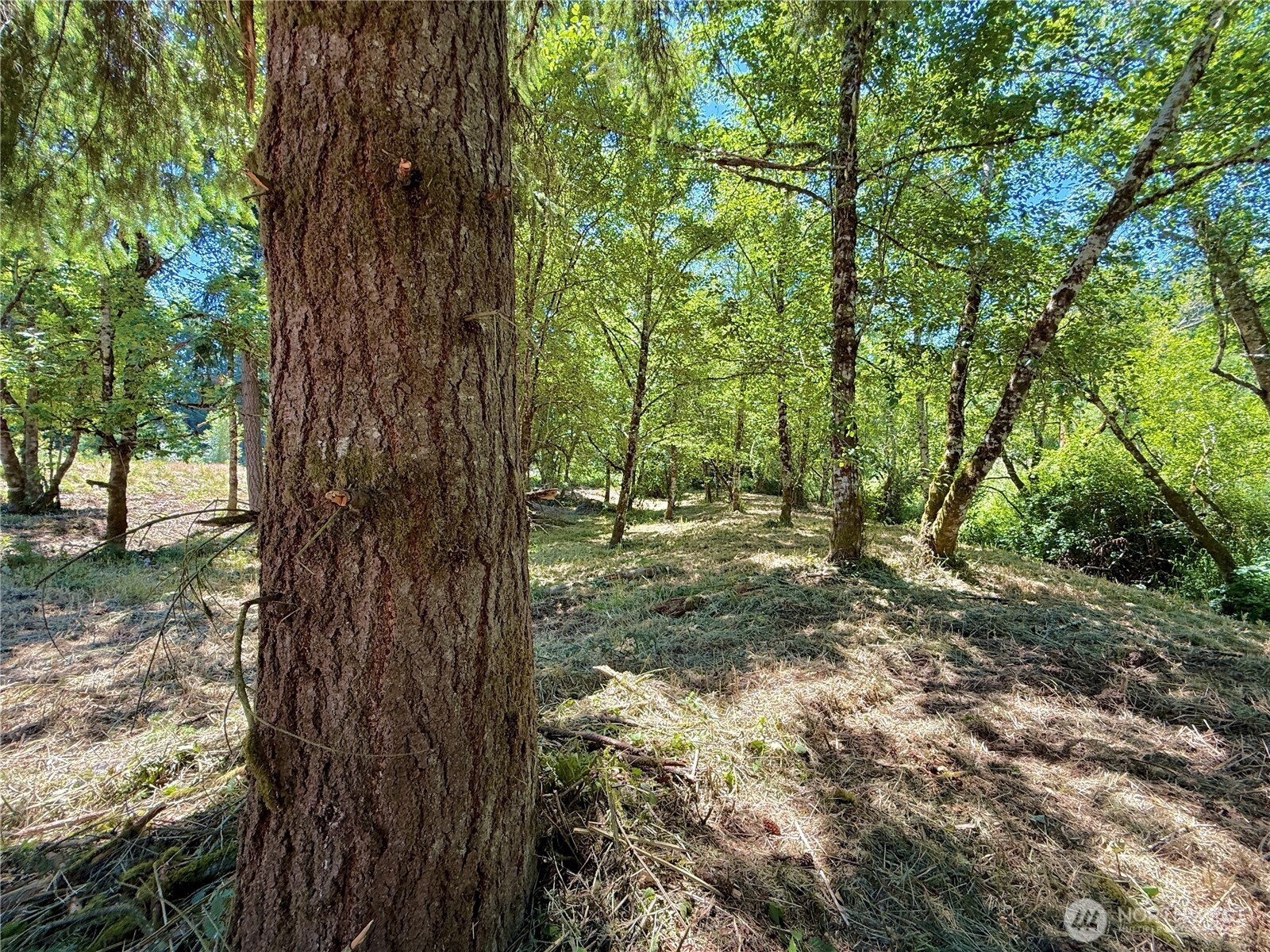 Property Photo: 127 Sawall G WA 98531