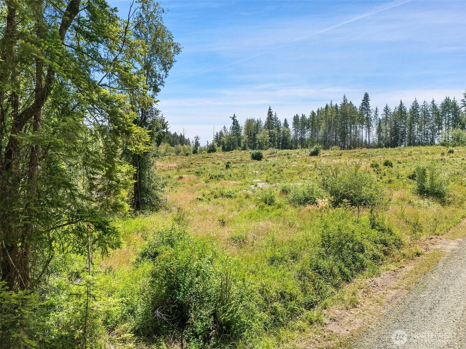 Property Photo: 0 Tr10 SE Wellswood Way WA 98584