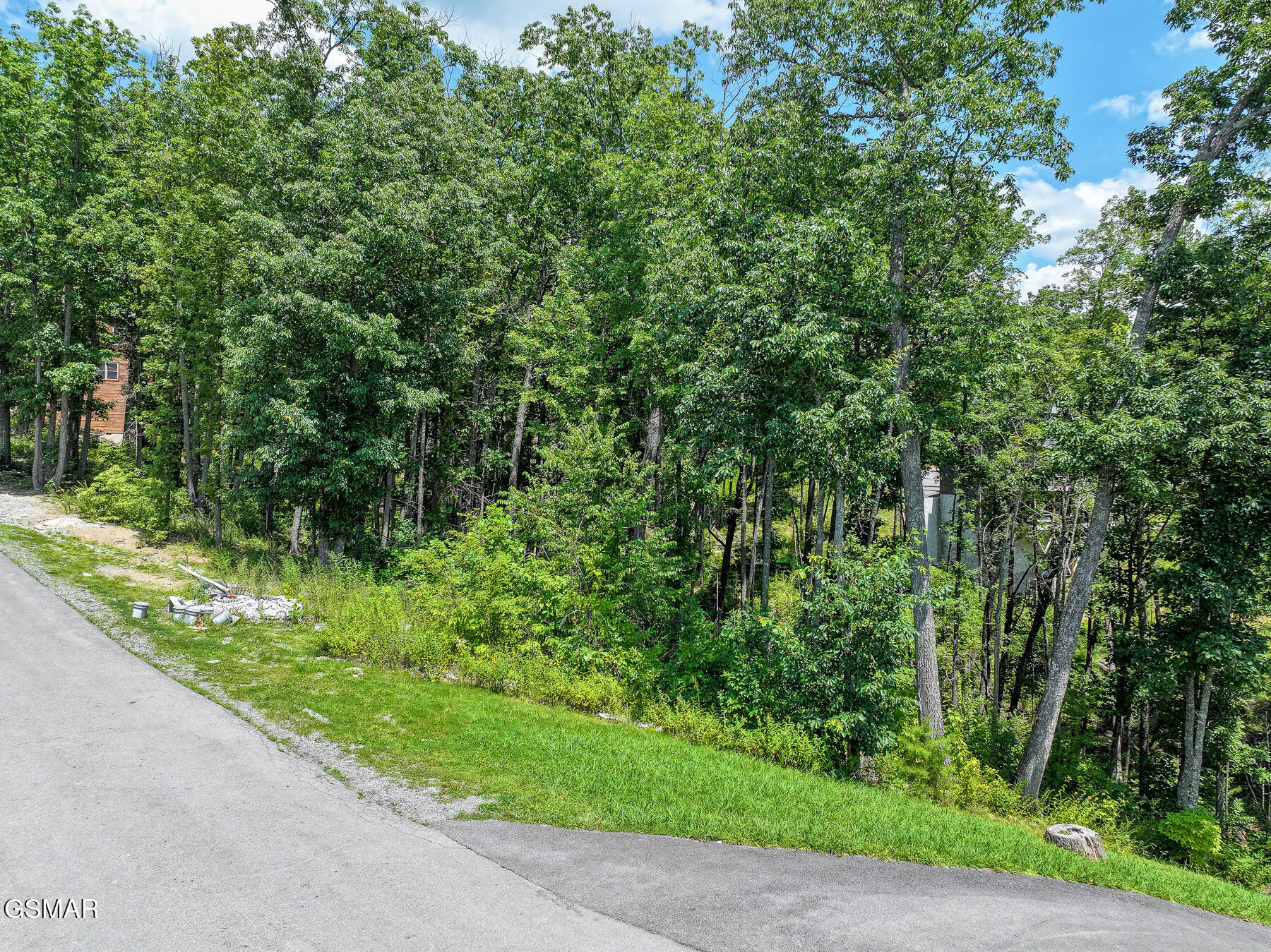 Property Photo:  Lot 59 Mountain Holly Way  TN 37862 