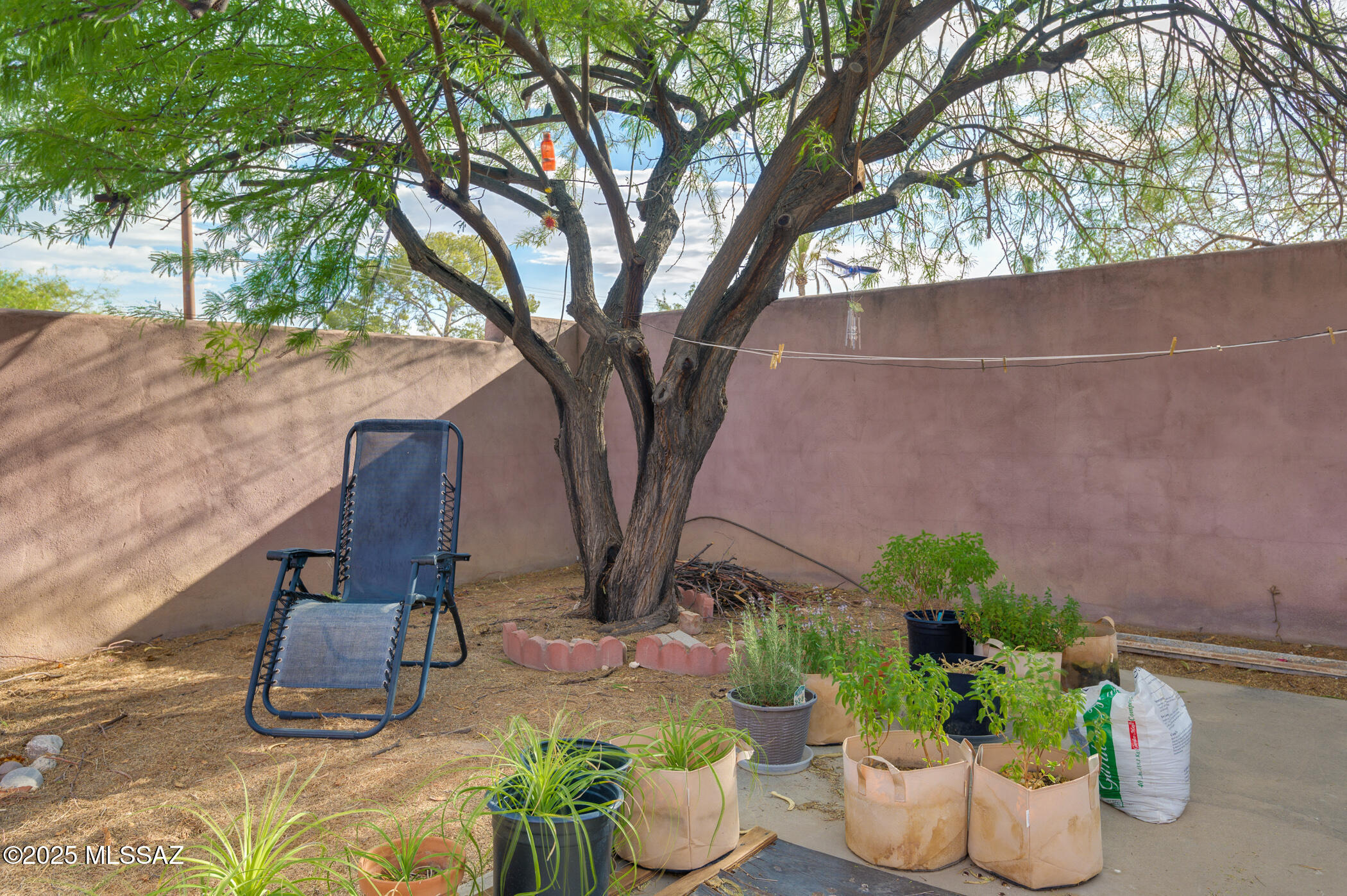 328 N Cherry Avenue  Tucson AZ 85719 photo