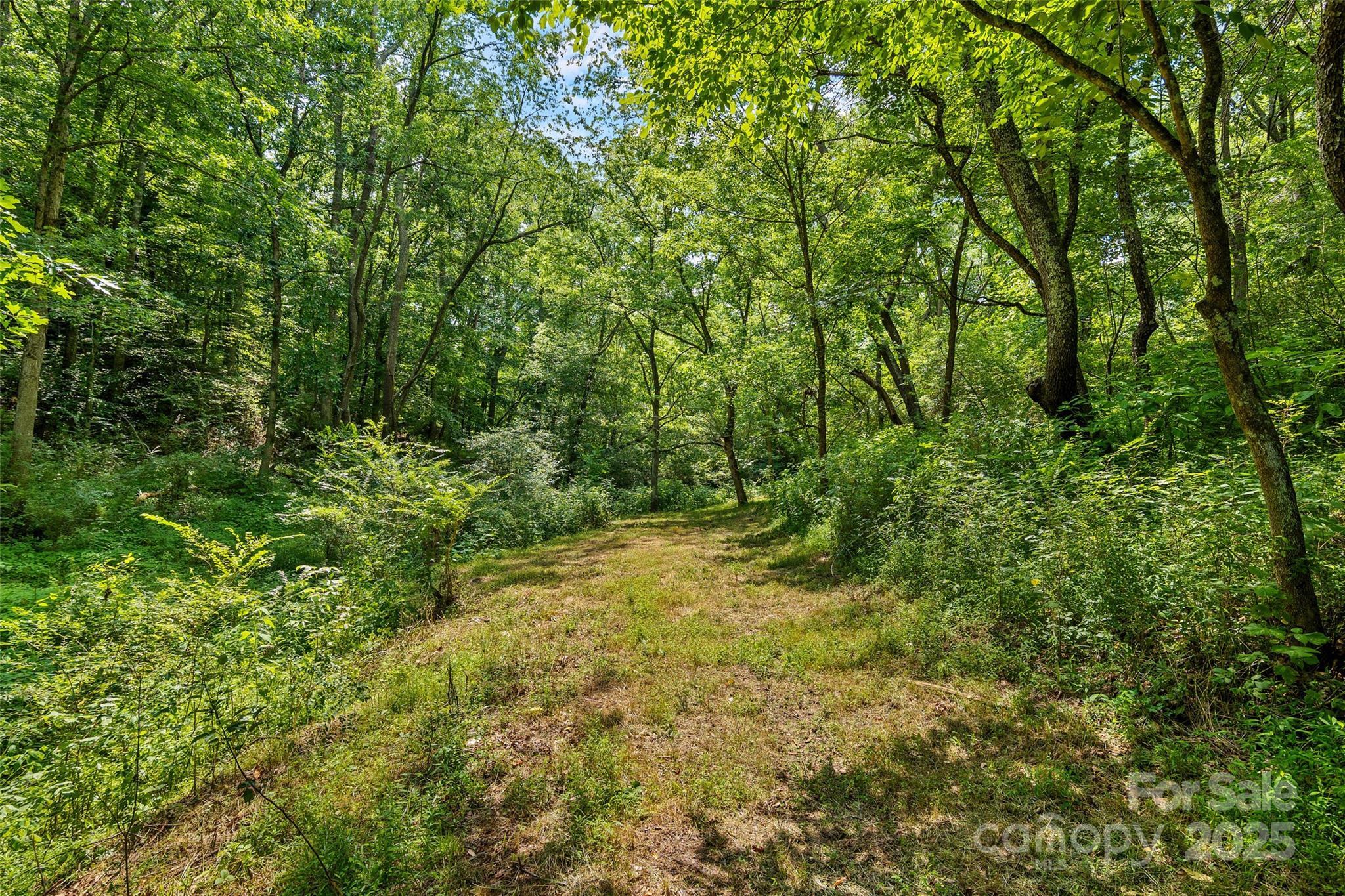 Property Photo:  117 Grandview Ridge Drive  NC 28701 