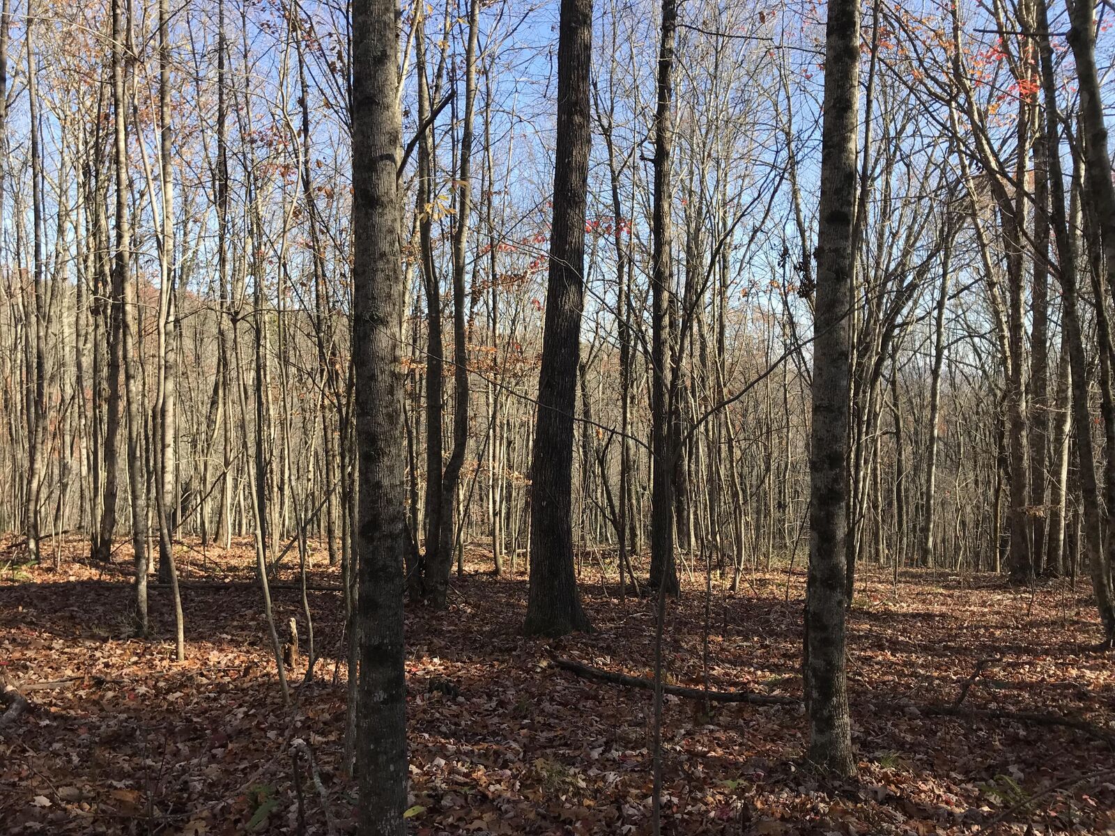 Property Photo: 1 Hobbstown Road TN 37327