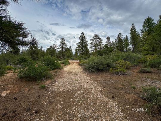 Property Photo: Fir Rd UT 84758
