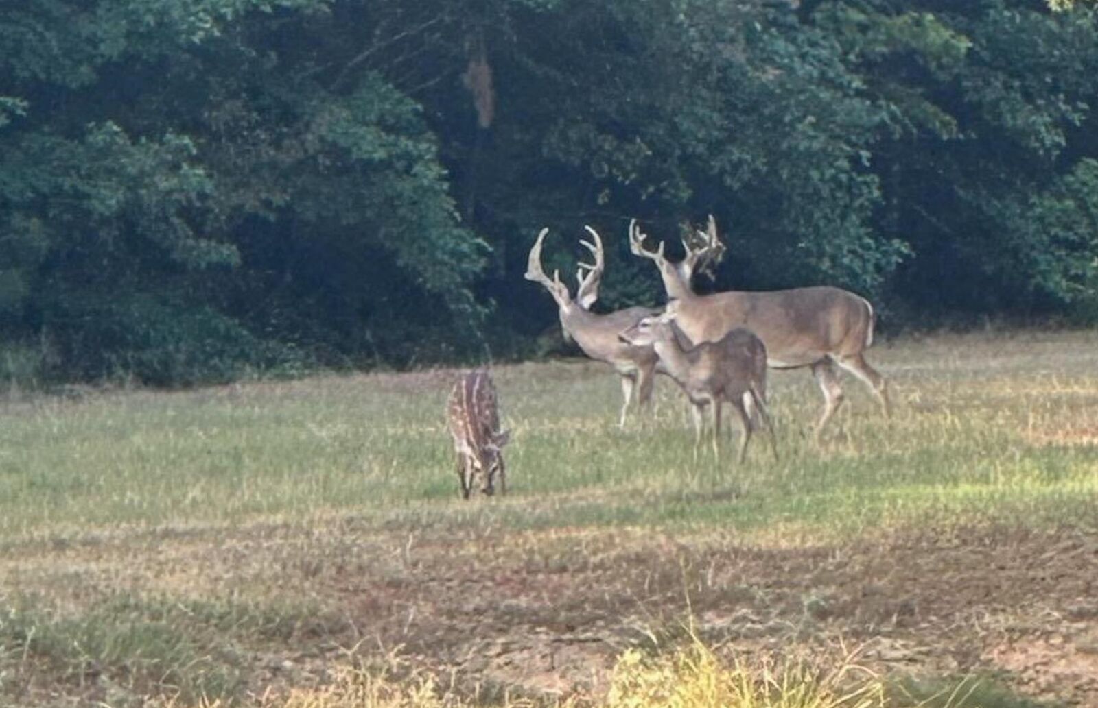 Property Photo: Tbd Fm 805 TX 75657