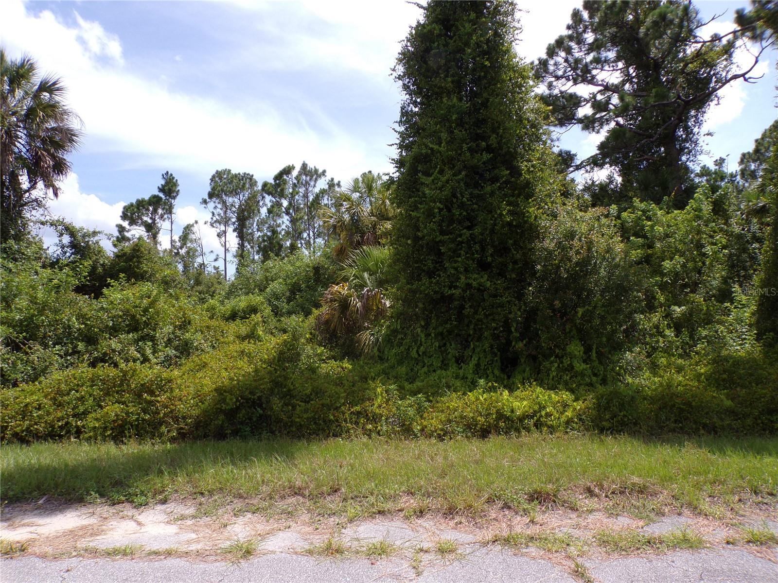 Property Photo: Ironside Street FL 34288