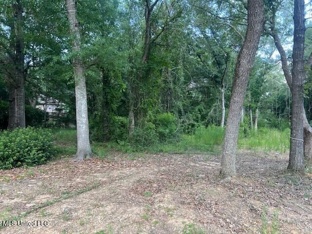 8818 Manoo Place  Diamondhead MS 39525 photo