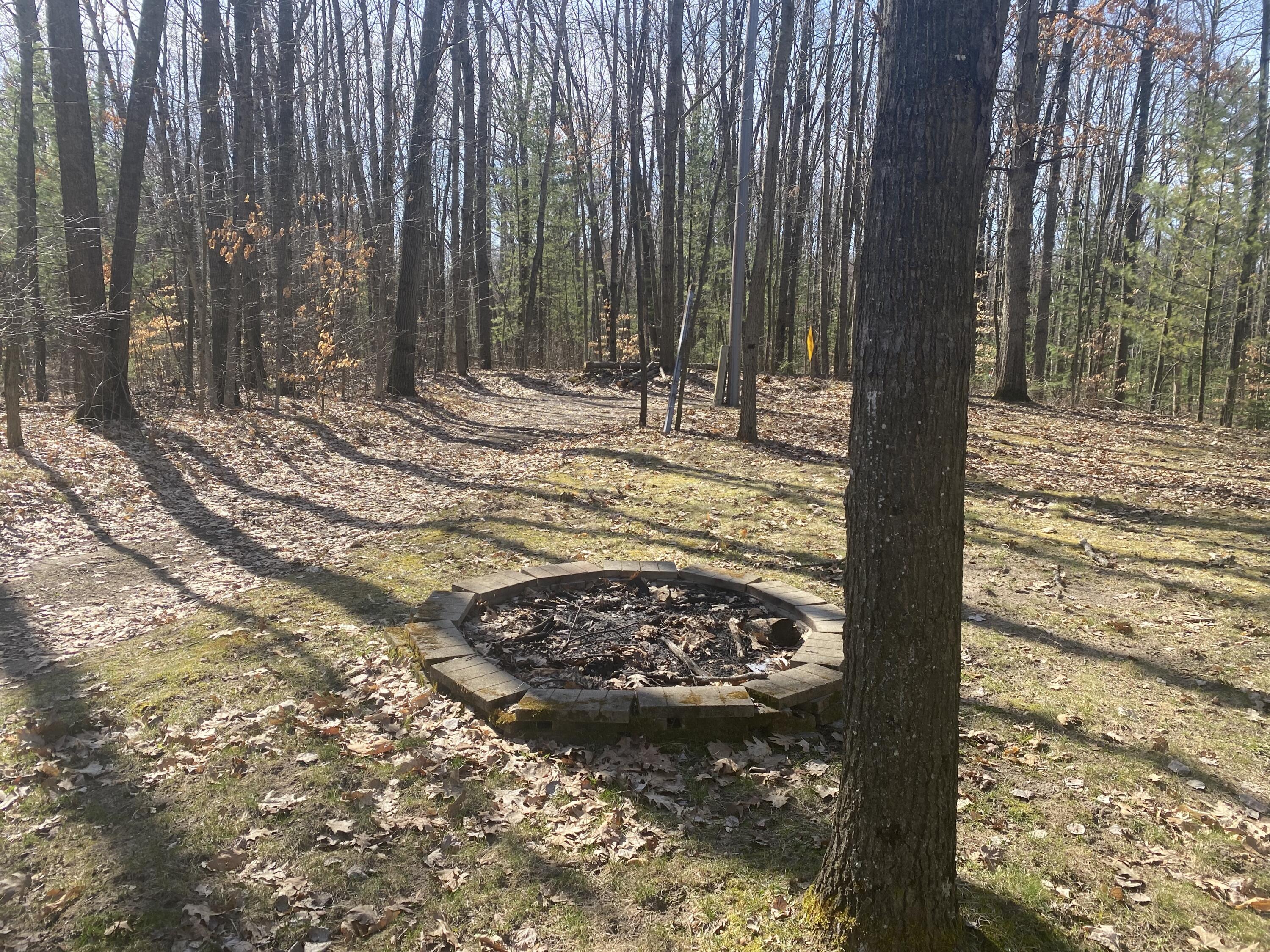 Property Photo: 9019 John Street MI 49332