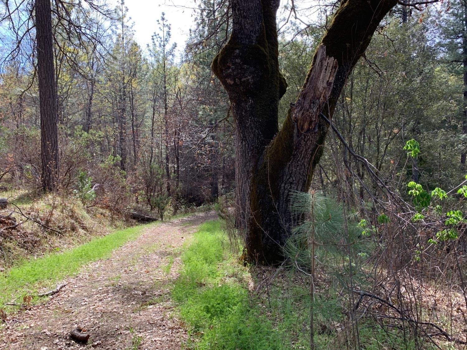 Property Photo:  0 Old Schoolhouse Road  CA 95684 