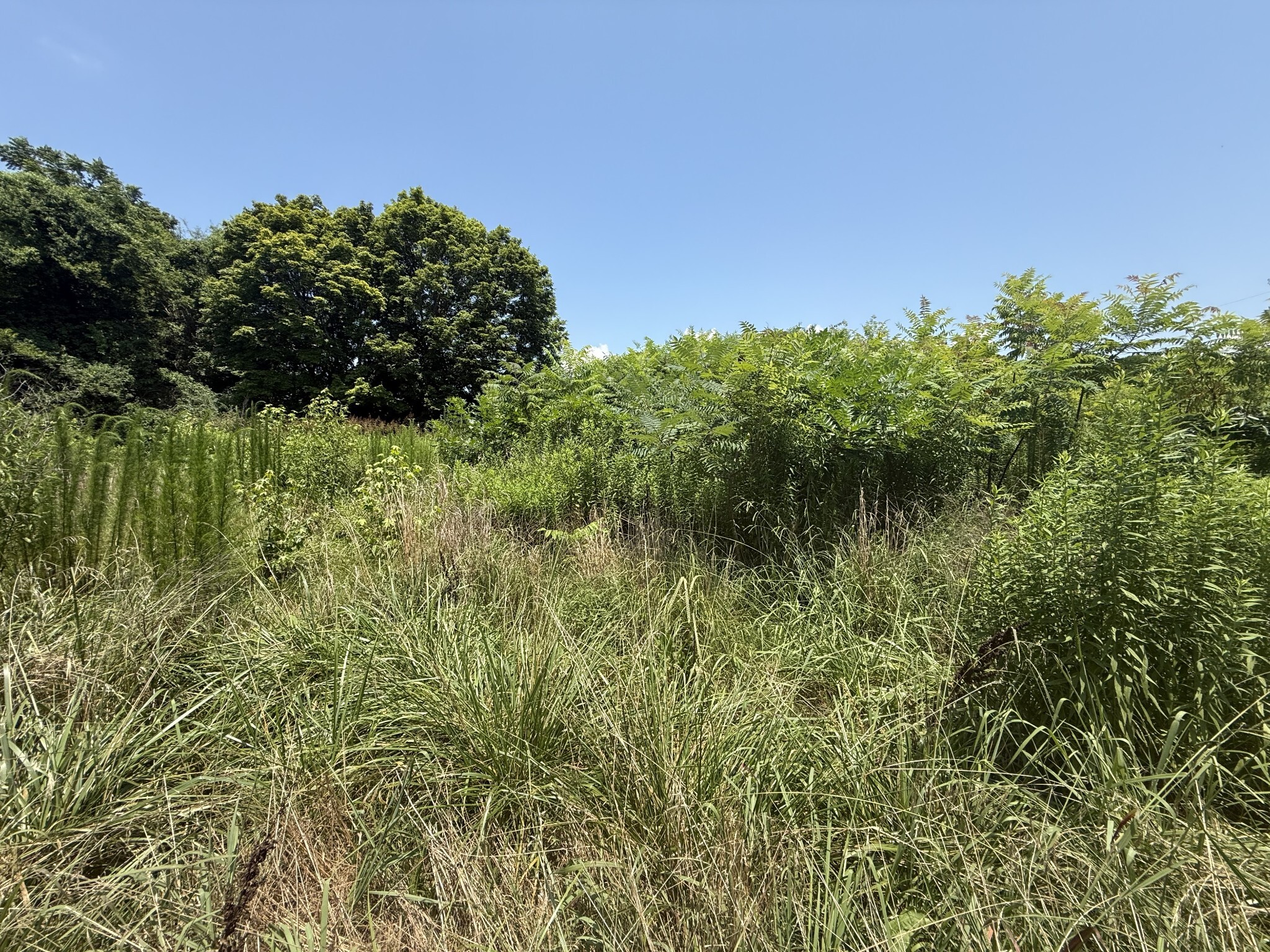 Property Photo:  60 Lees Ford Ln  TN 37398 