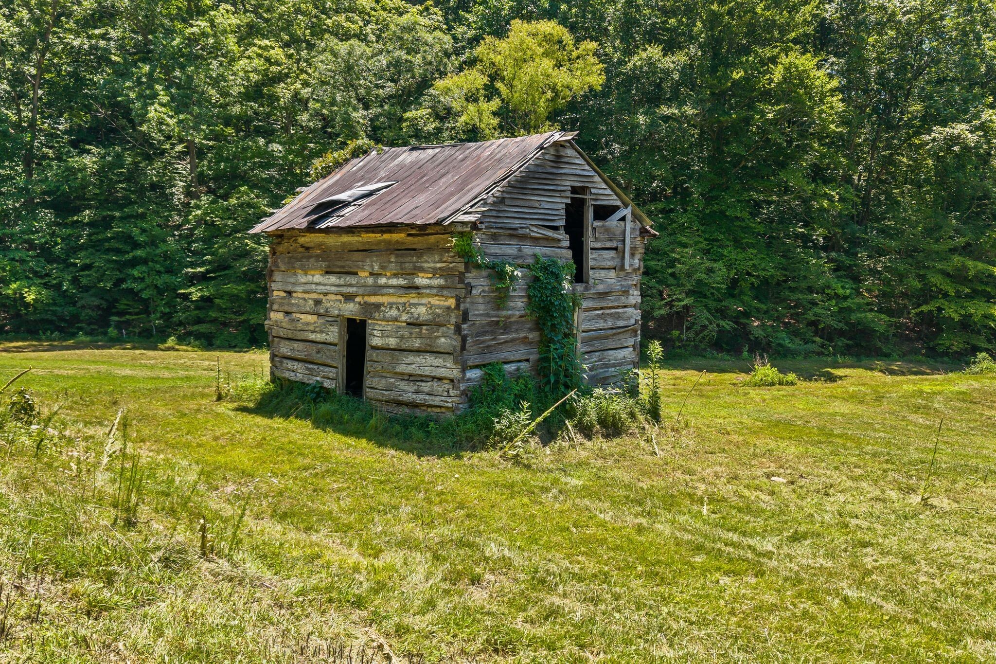 Property Photo:  5307 Drury Creek Trl  TN 37064 