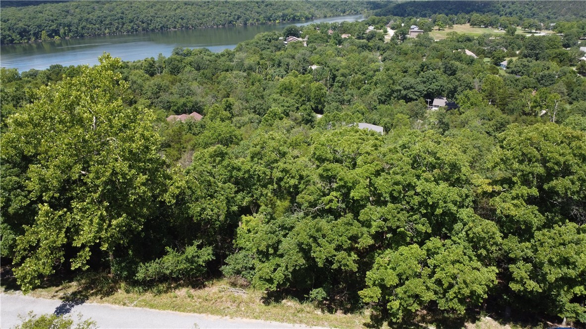 Property Photo: 17 Quail Run Drive AR 72631