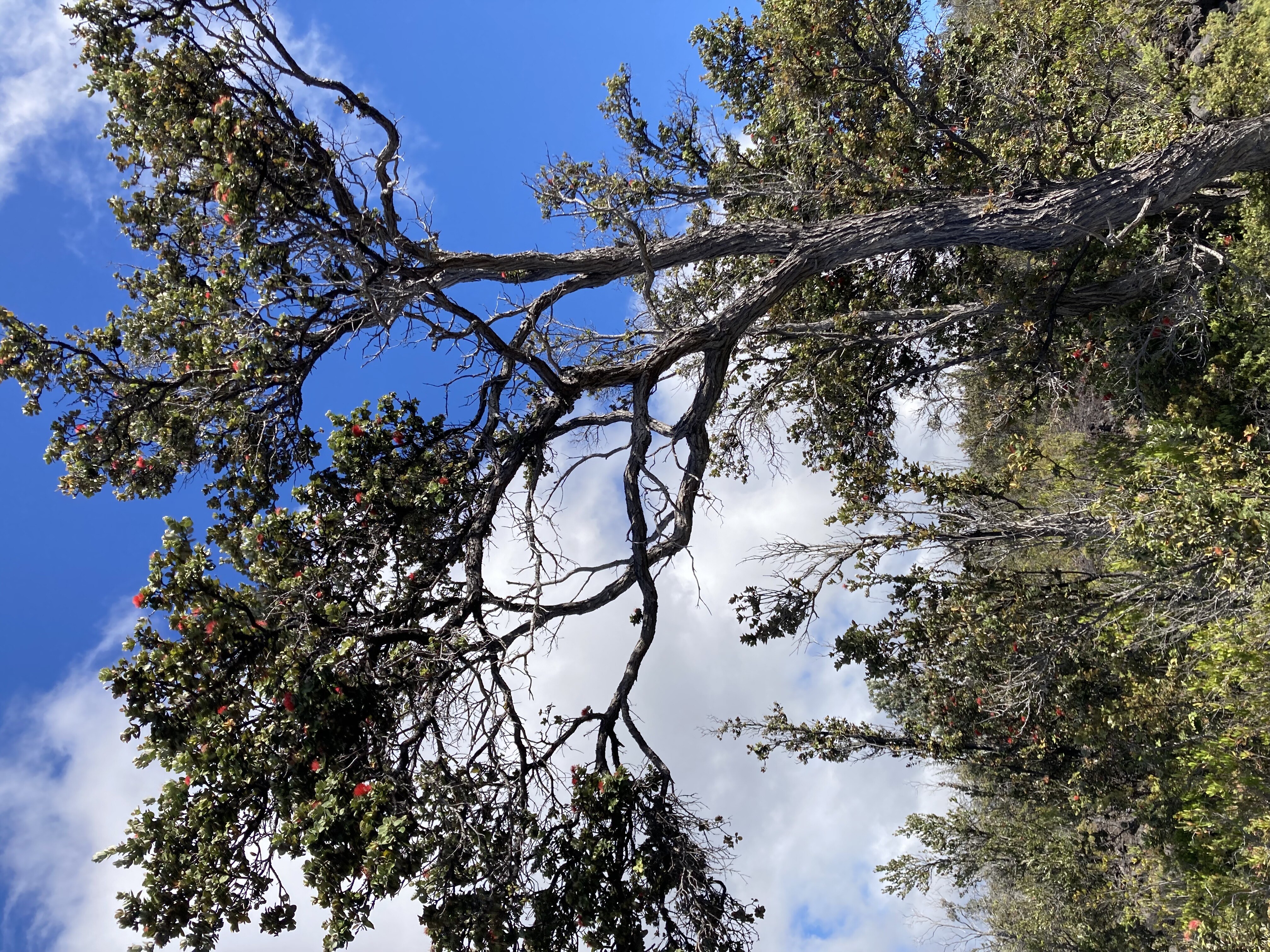 Property Photo: 92-2208 Sea Breeze Parkway HI 96737