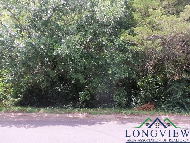 Property Photo: 3411 Larkspur Lane TX 75662-2738