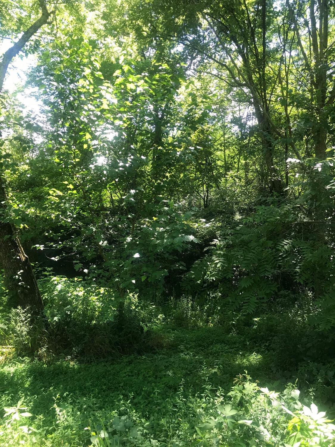Property Photo: 1012 New Haven Road KY 40444