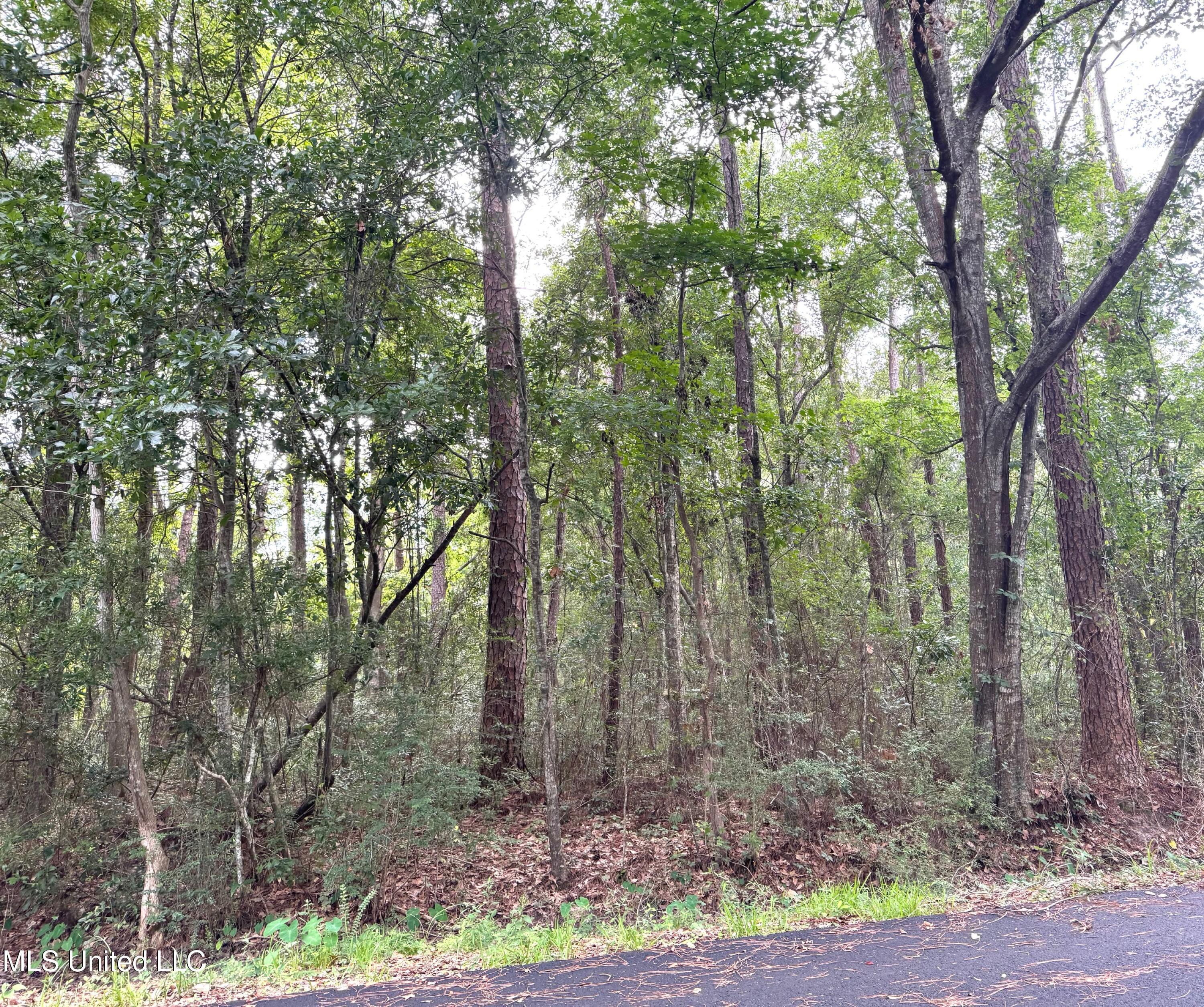 Property Photo: - River Music Drive MS 39553