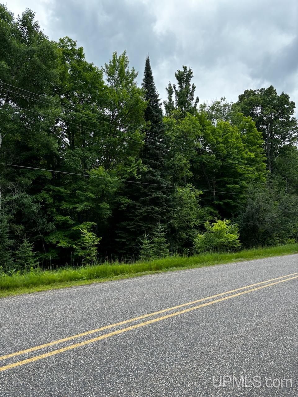 Property Photo: Tbd Gibbs City Road MI 49935