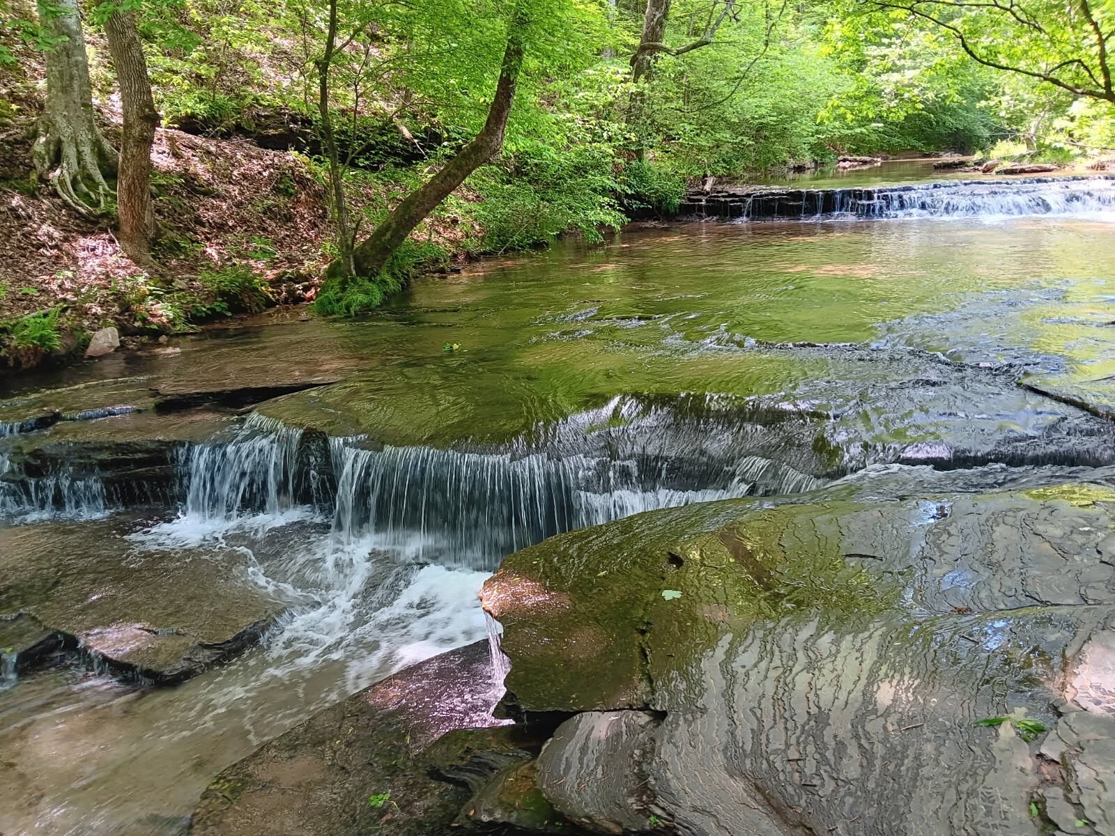 Property Photo: 2073 Choates Creek Rd TN 38464