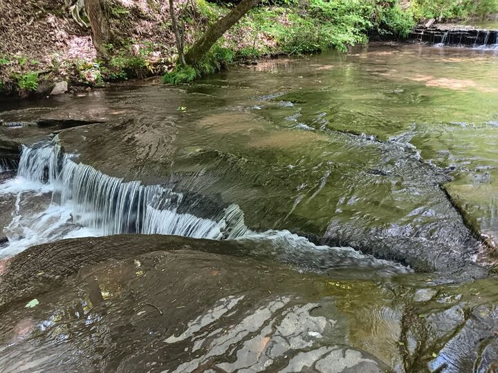 Property Photo: 2073 Choates Creek Rd TN 38464