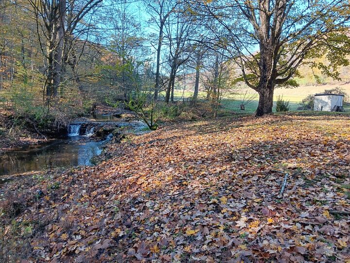 Property Photo:  2073 Choates Creek Rd  TN 38464 