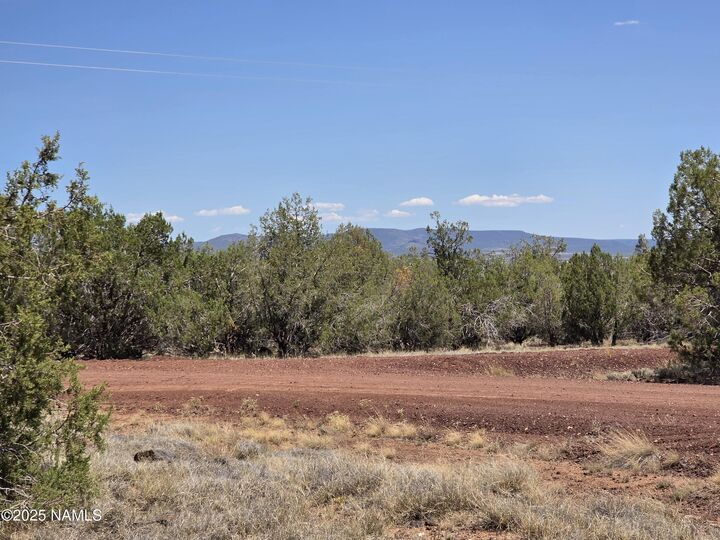 Property Photo:  1804 N Francis Lane  AZ 86046 