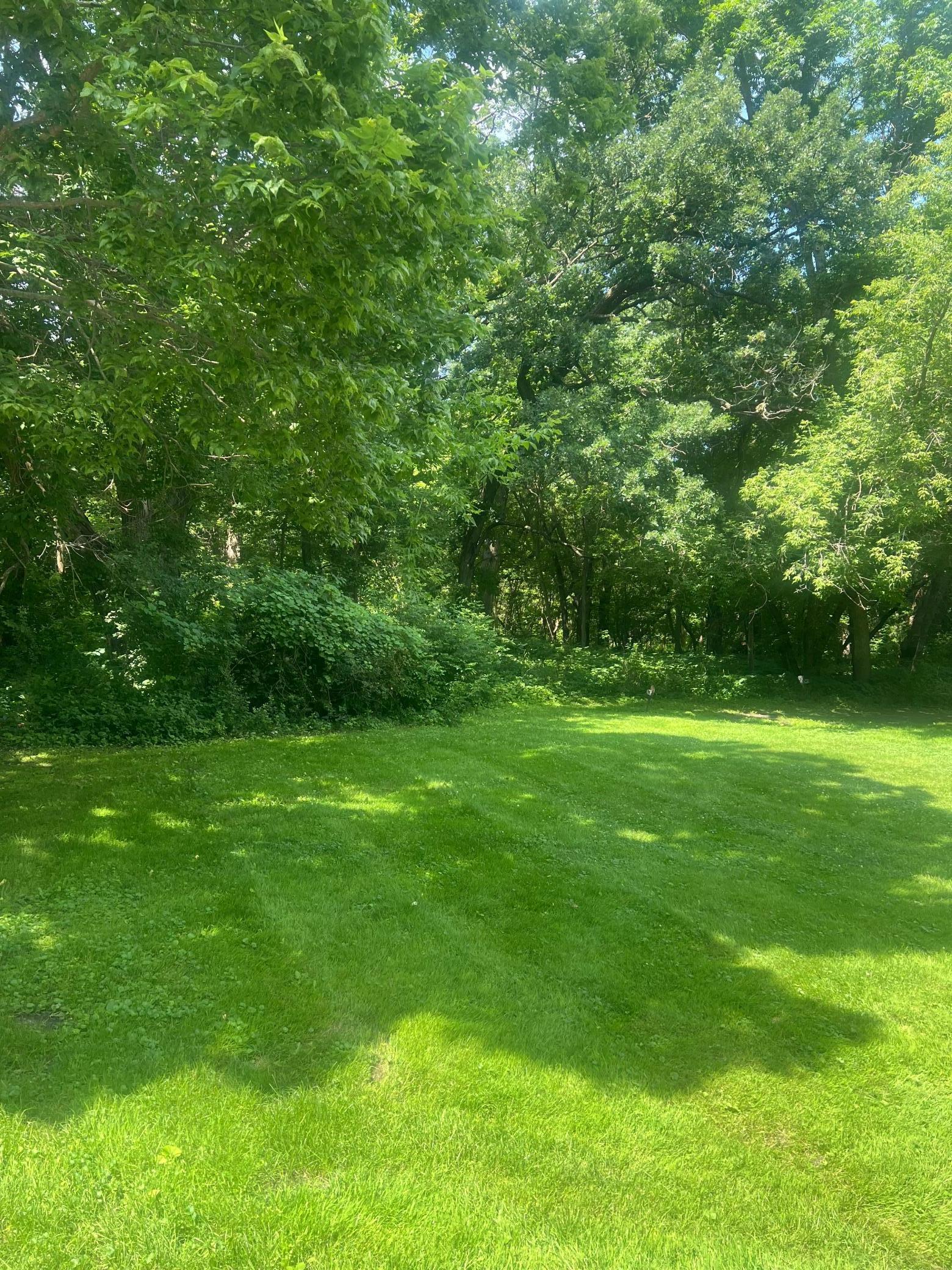 Property Photo: Tbd Lot 1 Envelope 1 Baycrest Road MN 56334
