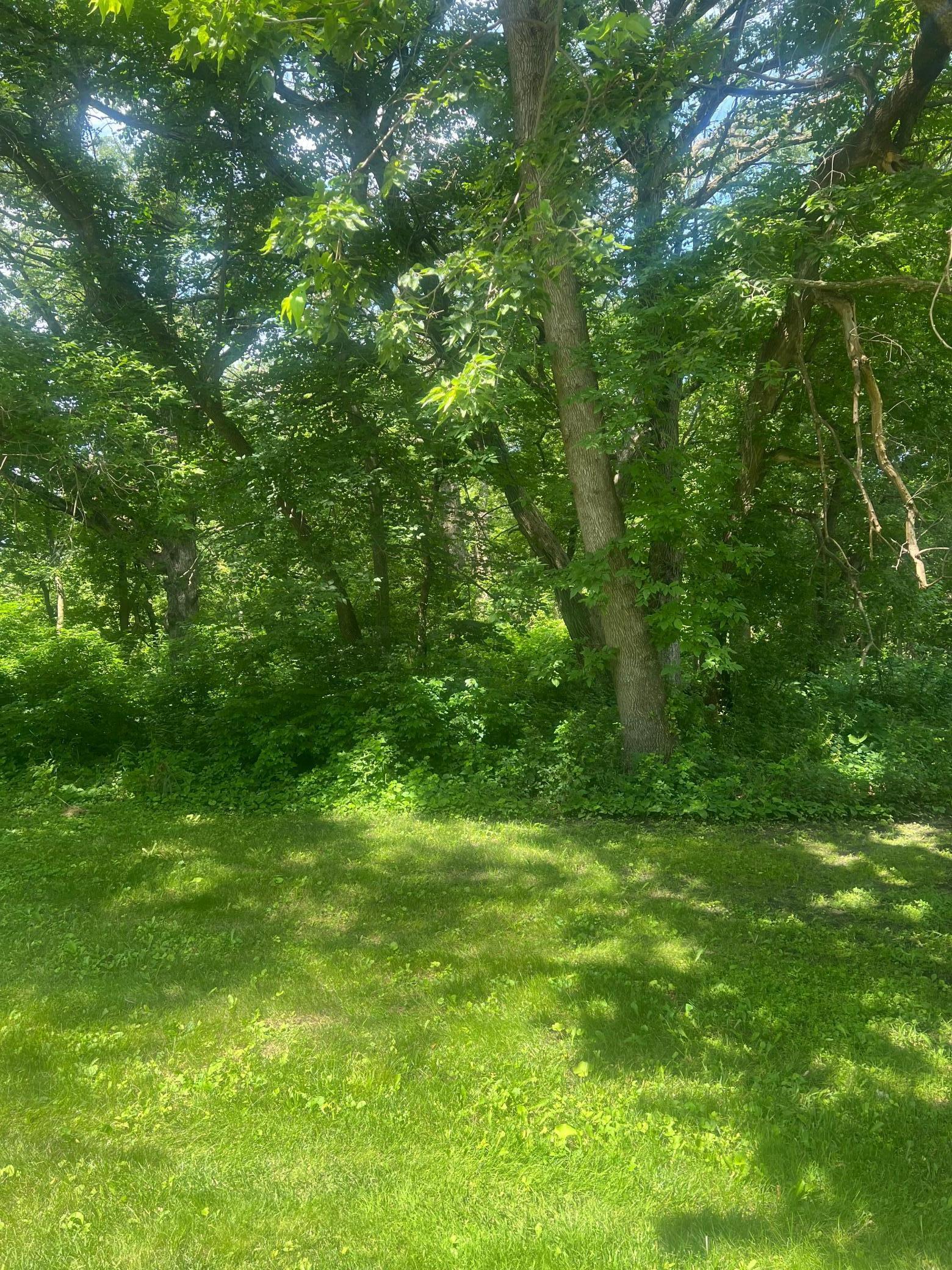 Property Photo: Tbd Lot 1 Envelope 2 Baycrest Road MN 56334